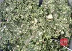 Illustration of how to make fennel stuffed dumplings 5