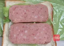 For sandwich Practice illustration 5