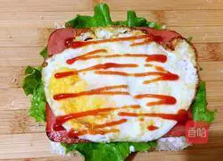 Illustration of homemade sandwiches 11