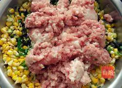 Illustration of how to make assorted dumplings 9