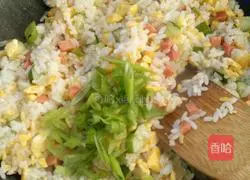 Illustration of how to make cat fried rice 8