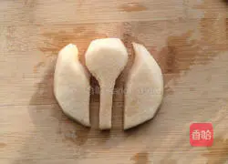 Insect Sandwich Recipe Illustration 3