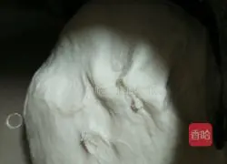 Illustration of making fish and pork buns 5