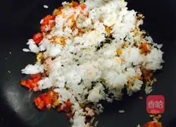 Assorted Fried Rice Recipe Illustration 4