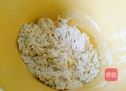 Illustration of how to make cabbage and pork dumplings 2