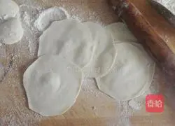 Beef and Celery Dumplings Illustration of how to do it 9