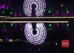 Assorted Fried Rice Recipe Illustration 3