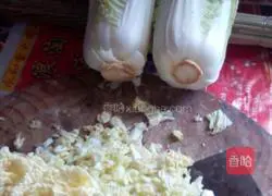 Illustration of how to make vegetarian dumplings 2