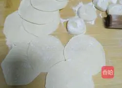 Pork and fennel dumplings recipe 10