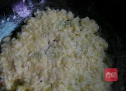 Secret Fried Rice Recipe Illustration 3