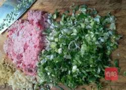 Pork and green onion dumplings Practice illustration 3