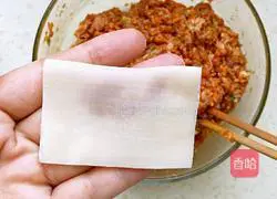 Pork Illustration of how to make carrot stuffed wontons 7