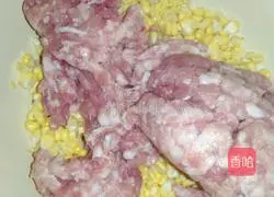 Illustration of how to make dumplings 2