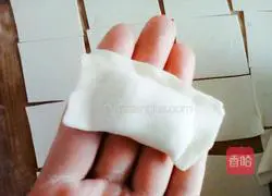 Illustration of how to make cabbage and pork wontons 9