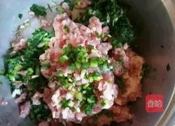 Illustration of how to make vegetable and meat wontons 3