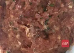 Fresh shrimp Pork wonton recipe illustration 3