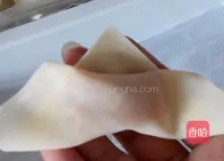 Illustration of how to make wontons 4