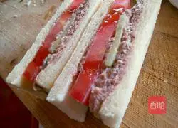 Illustration of how to make tuna fish sandwich 16