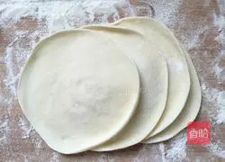 Illustration of how to make dumplings 6
