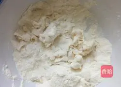 Illustration of how to make celery, egg and fungus dumplings 1