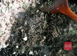 Illustration of how to make purslane dumplings 8