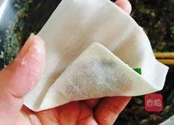 Pork Wonton Recipe Illustration 11