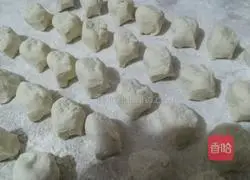 Pork and Onion Dumplings Recipe Illustration 15