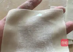 Guanmao Wonton tutorial Illustration 4