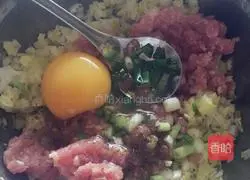 Illustration of how to make pot stickers and dumplings 2