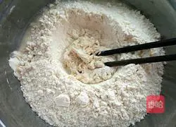 Zucchini buns recipe 5