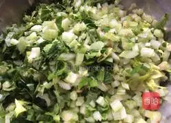 Illustration of making dumplings stuffed with pork and celery 2