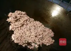 Pineapple Fried Rice Recipe Illustration 6