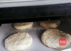 Illustration of cutting edge sesame cakes 12