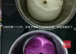 How to make two-color steamed buns Illustration 5