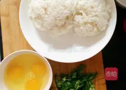 Fake golden fried rice/Miyako Illustration of Cheng's practice 1