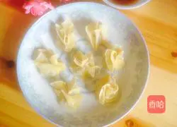 Illustration of how to make wonton and shaomai 6