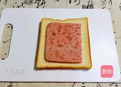 Ham and egg sandwich Practice illustration 4