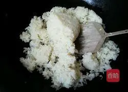 Egg Fried Rice Recipe Illustration 6