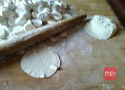 Illustration of how to make dumplings 2