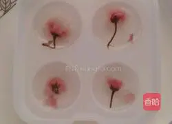 Shui Xinxuan Cake Recipe Illustration 3