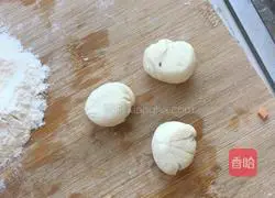 Dumpling wrappers Illustration of how to do it 1