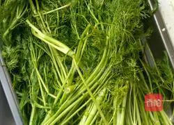 Illustration of how to make fennel stuffed dumplings 2