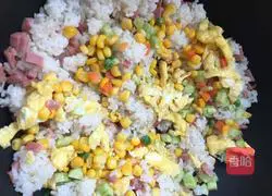 Colorful Fried Rice Recipe Illustration 6