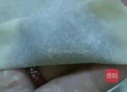 Illustration of how to make wontons 4