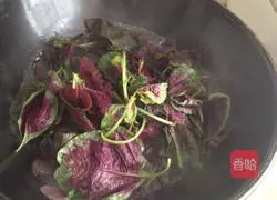 Illustration of how to make creative dumplings 1