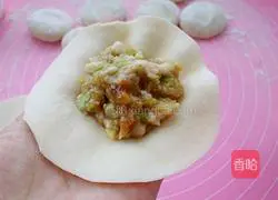 Illustration of how to make eggplant meat buns 16
