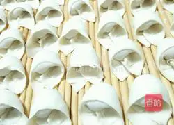 Illustration of how to make wontons 7