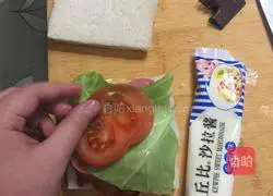 Illustration of homemade sandwiches 10