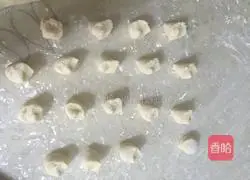 Illustration of making dumplings stuffed with radish shreds 15