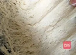 Illustration of how to make potato meat buns (the whole process of making buns) 4